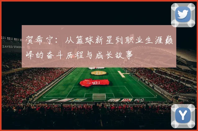 贺希宁：从篮球新星到职业生涯巅峰的奋斗历程与成长故事