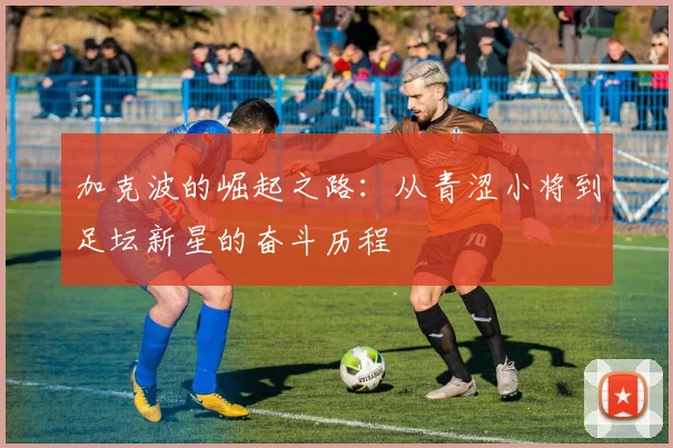 加克波的崛起之路：从青涩小将到足坛新星的奋斗历程