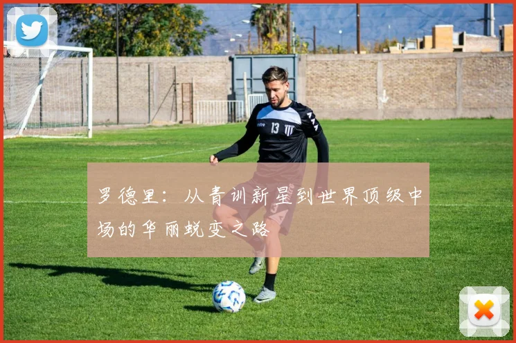 罗德里：从青训新星到世界顶级中场的华丽蜕变之路