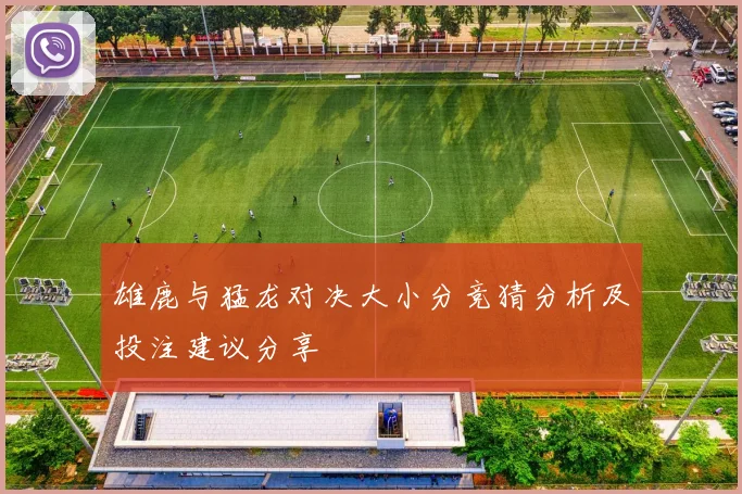 雄鹿与猛龙对决大小分竞猜分析及投注建议分享