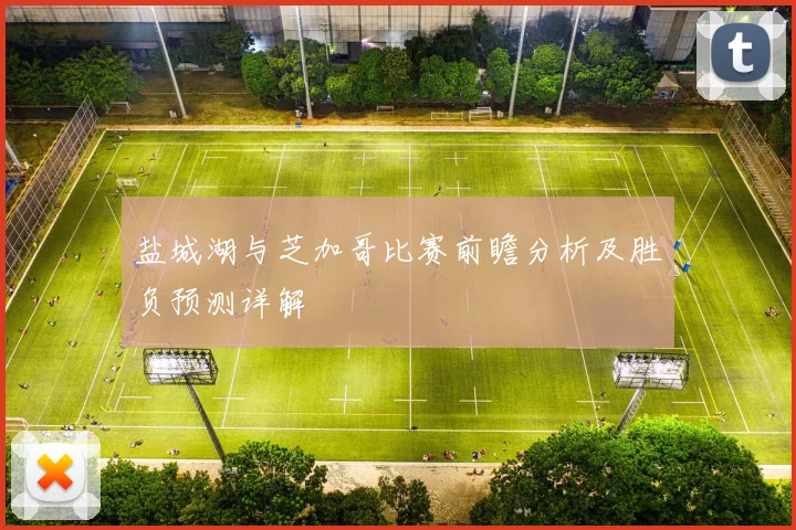 盐城湖与芝加哥比赛前瞻分析及胜负预测详解