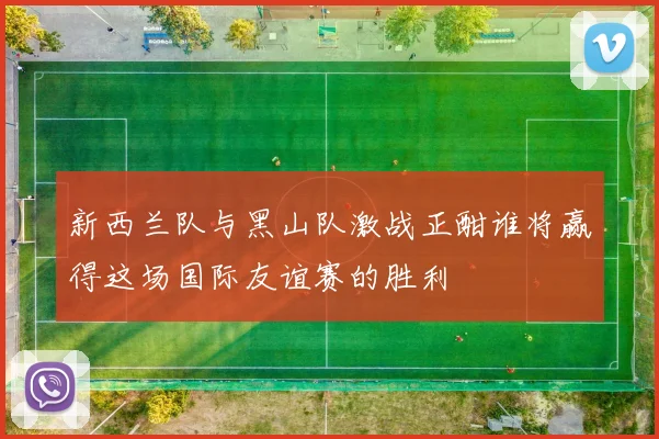 新西兰队与黑山队激战正酣谁将赢得这场国际友谊赛的胜利