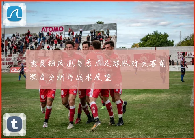 惠灵顿凤凰与悉尼足球队对决赛前深度分析与战术展望