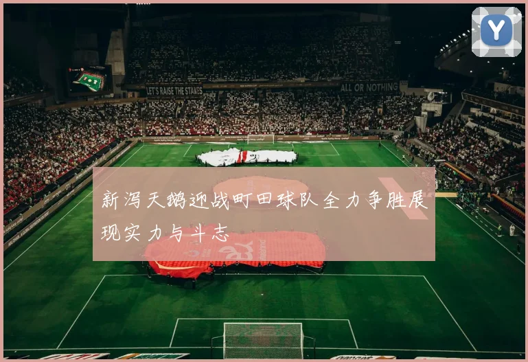 新泻天鹅迎战町田球队全力争胜展现实力与斗志